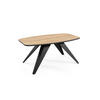 COUCHTISCH Luna Gold Craft Eiche / Schwarz 120 / 60 / 48cm - Eiche Bianco/Schwarz, Holz/Holzwerkstoff (60/120/48cm) - Feldmann-Wohnen