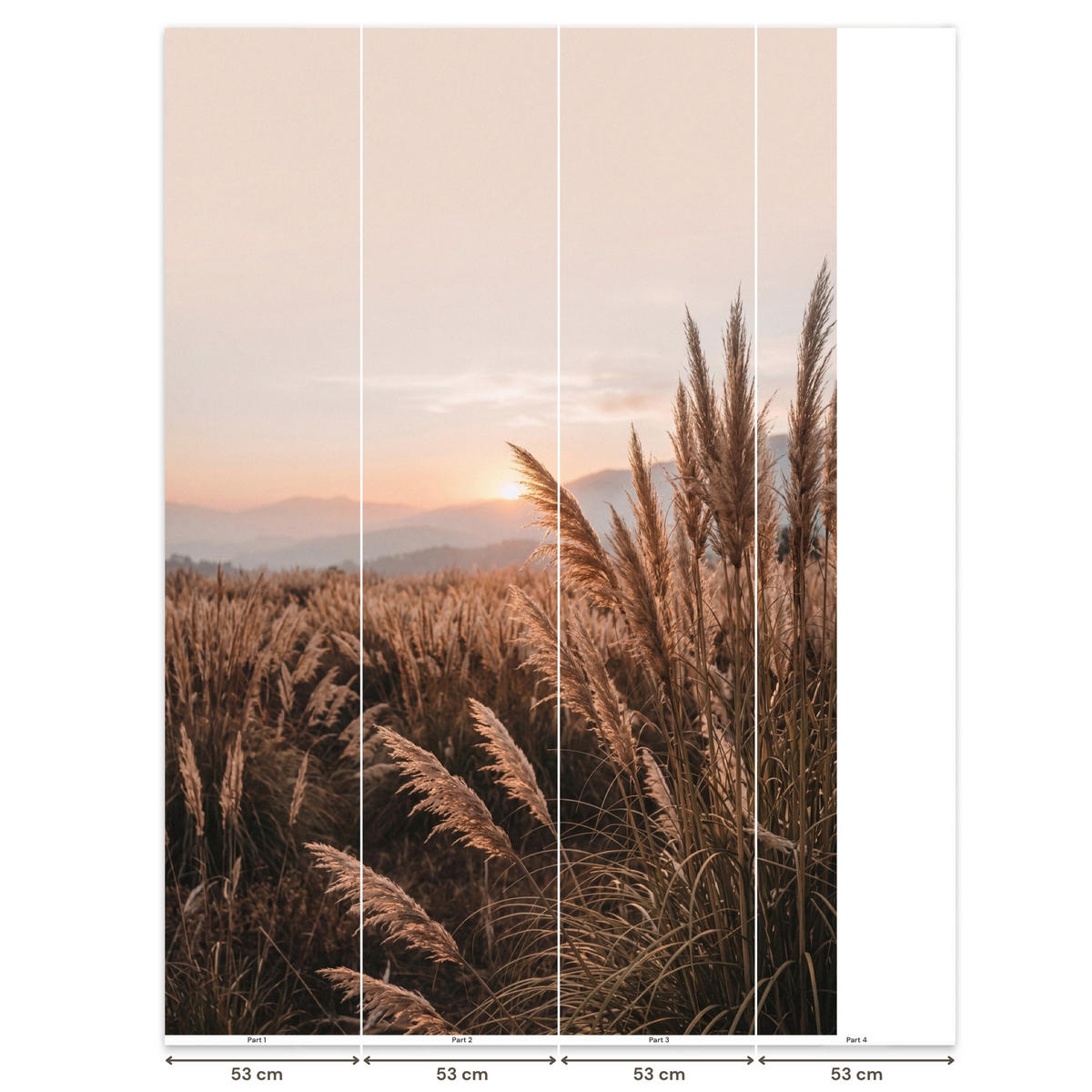TAPETE - Gras - Feld - Sonne - Natur - 180x280 cm - Sandfarben, Papier (180/280cm) - OnlyWow