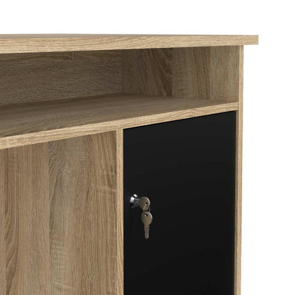 SCHREIBTISCH, FunctionPlus, Eiche, Holzwerkstoff, 126 x 55 x 76 cm - Eichefarben, Holzwerkstoff (55/126/76cm) - ebuy24