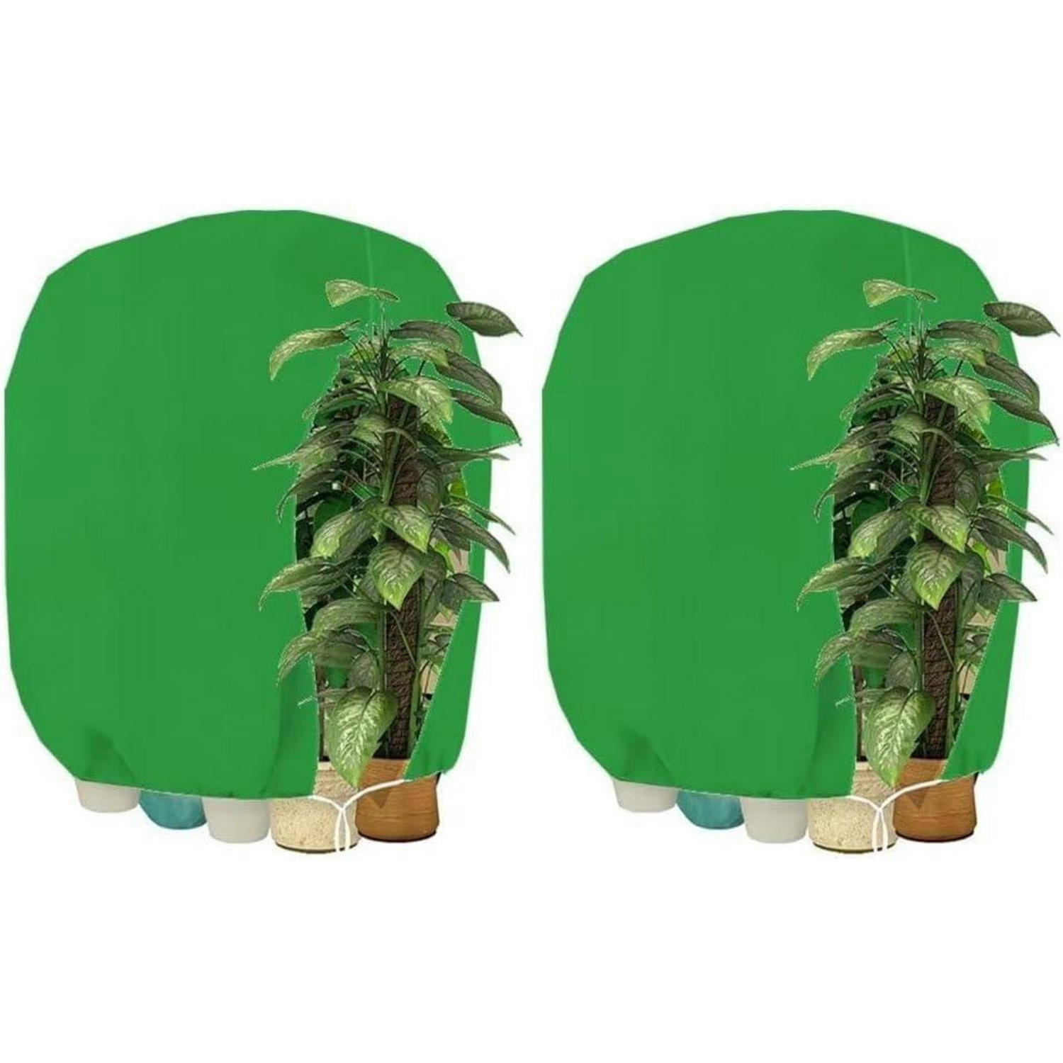 XXXLutz Pflanzenschutzhaube Grün 160x1x240 cm