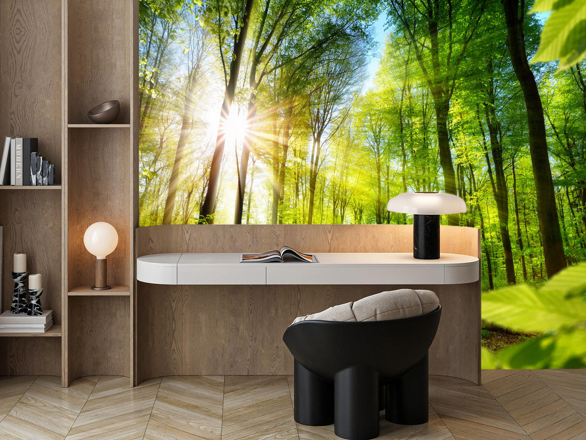 FOTOTAPETE für Wohnzimmer Sonnenaufgang zwischen Bäumen Wald 250x175 - Gelb/Grün, Papier (250/175cm) - Muralo