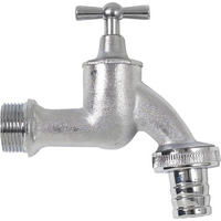 CHROM-AUSLAUFHAHN 3/4'' - Naturfarben, Metall (11/4/15cm) - GARANTIA