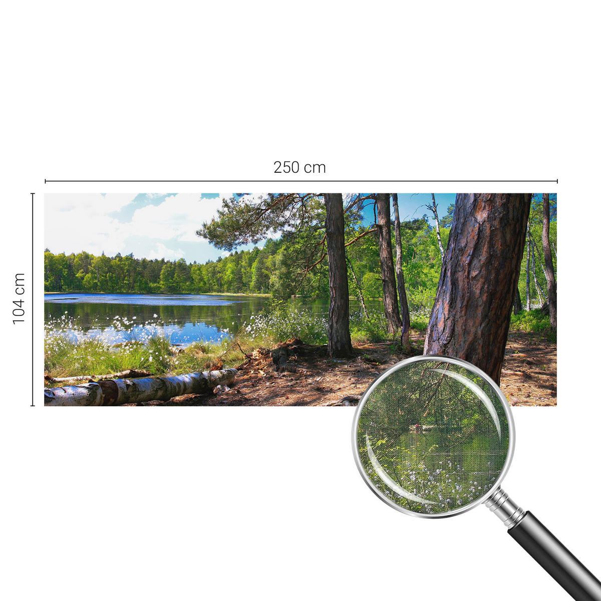 FOTOTAPETE 250x104 cm - Waldlandschaft - Grün, Textil (250/104cm) - Wallfluent