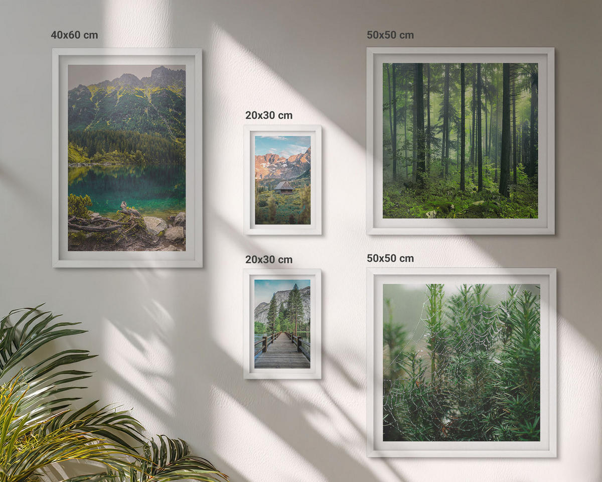 BILDER SET 5er Set - 50x50 cm & 20x30 cm & 40x60 cm Weißer Rahmen - Minimalistische Pflanzenzeichnungen - Weiß, Kunststoff (40/60cm) - TULUP