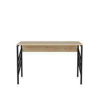 COMPUTERTISCH Josephine Schwarz Eiche - Eichefarben/Schwarz, Holzwerkstoff (120/60/75cm) - Decorotika