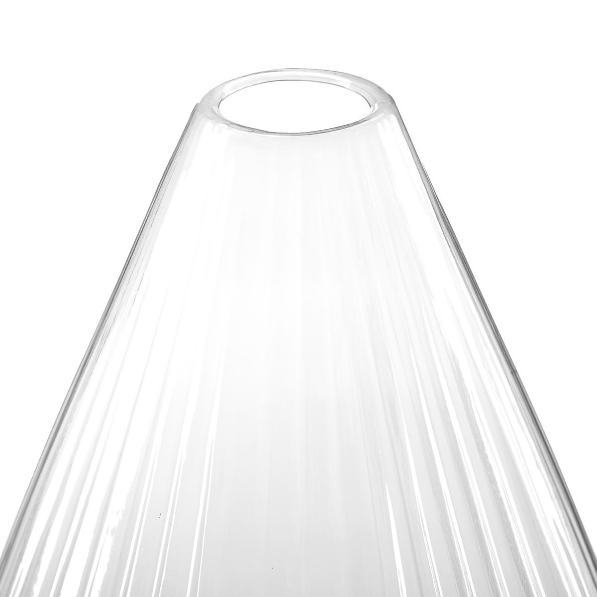 10XPFLANZENHUT - Transparent, Kunststoff (19/22/19cm) - Relaxdays