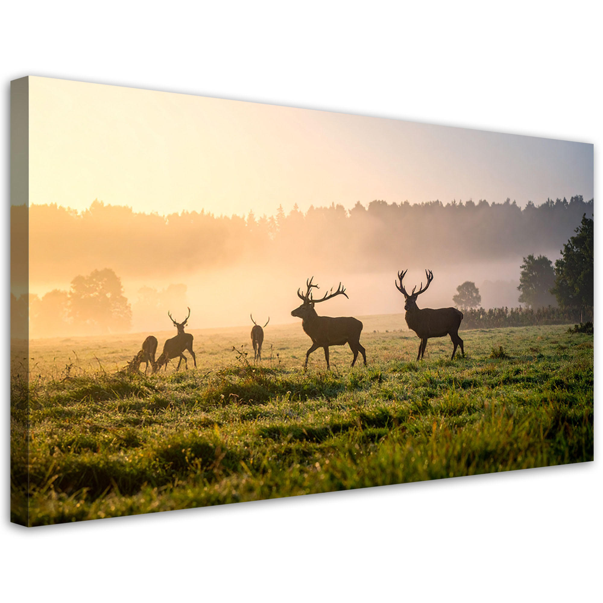 Feeby Leinwandbild Beige 100x50 cm