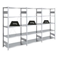 SCHWERLASTREGAL Silver Mamba 200x300x50cm 5 Ebenen je 150kg Fachlast Verzinkt - Silberfarben, Metall (300/200/50cm) - PROREGAL