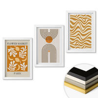 WANDBILDER 3er-Set - 20x30 cm Weißer Rahmen - Poster mit geometrischen Pflanzenmustern - Weiß, Kunststoff (20/30cm) - ArtPrintCave