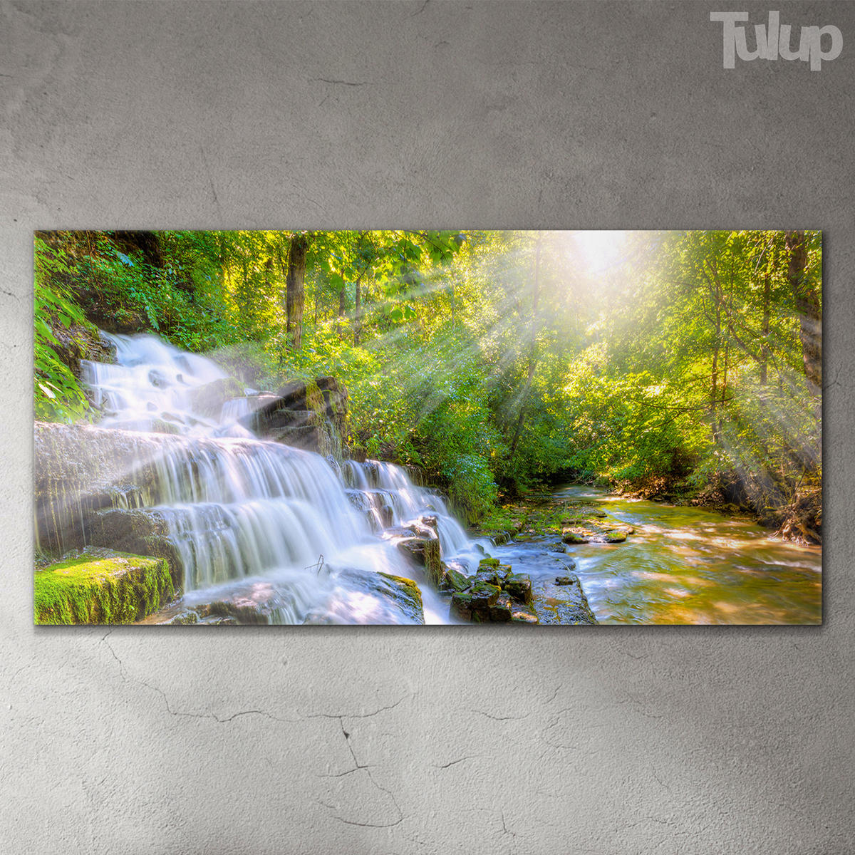 GLASBILD 120x60 cm Wald - Limette, Glas (120/60cm) - TULUP