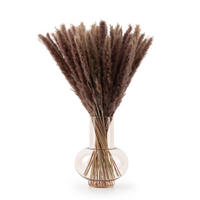 TROCKENBLUMEN - 30 Stück, 60 cm, für Trockenblumenstrauß oder Trockenblumen Deko, naturbraun - Braun, Naturmaterialien (60cm) - Blumtal