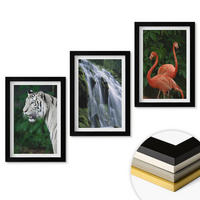 WANDBILDER 3er-Set - 20x30 cm Schwarzer Rahmen - Tiger Wasserfall Flamingos Natur - Schwarz, Kunststoff (20/30cm) - ArtPrintCave