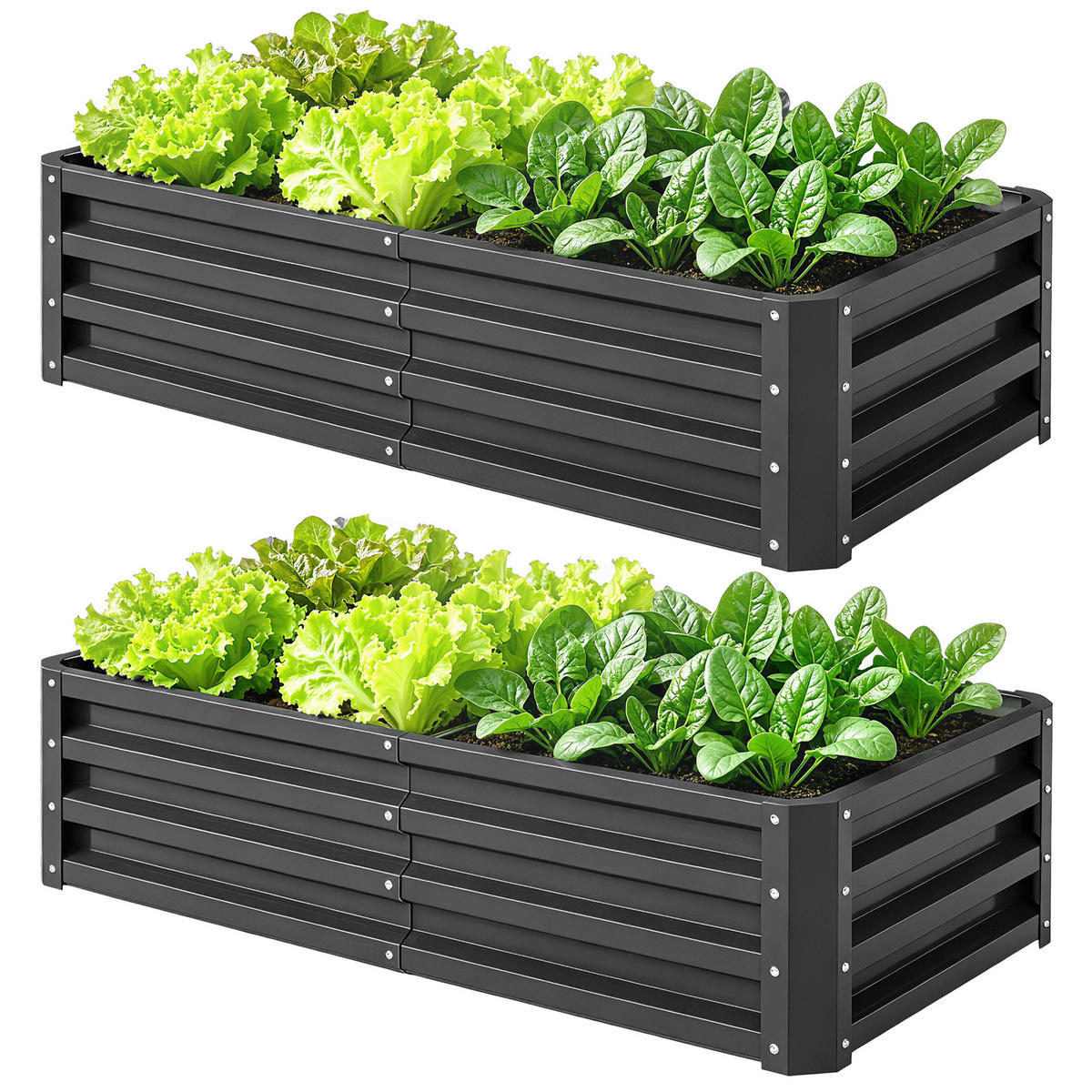 HOCHBEET, 2er-Set rechteckig aus Wellblech, 120x60x30,5cm, robust, Grau - Multicolor, Holzwerkstoff (120/30.5/60cm) - FORIOUS