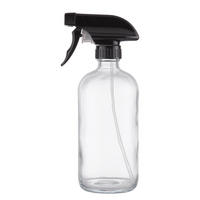 SPRÜHFLASCHE (6er Set) Eco - Transparent, Kunststoff (7/21/7cm) - Butlers