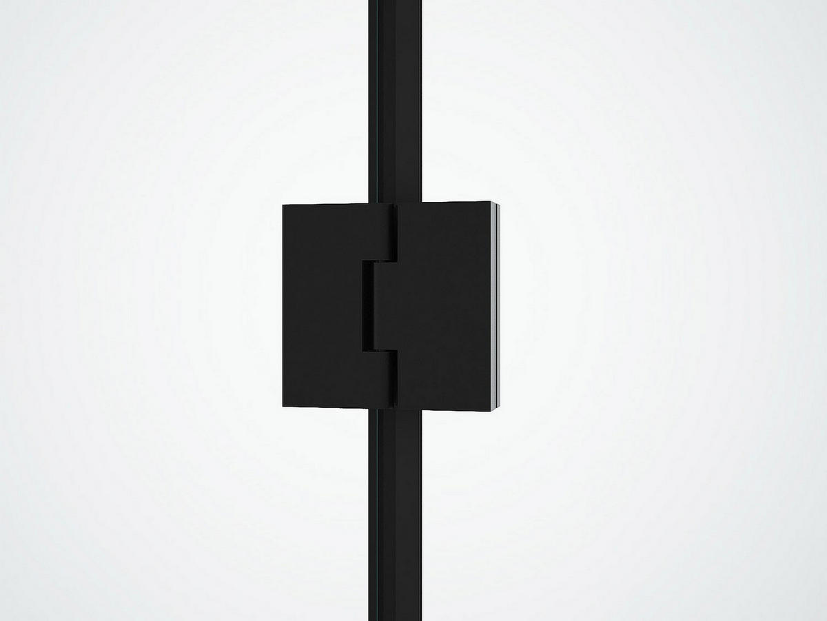 DUSCHTRENNWAND Industriel-Stil - 80 x 100 x 190 cm - Schwarz matt - PRINCETON - Schwarz, Metall (100/190cm) - Vente-Unique