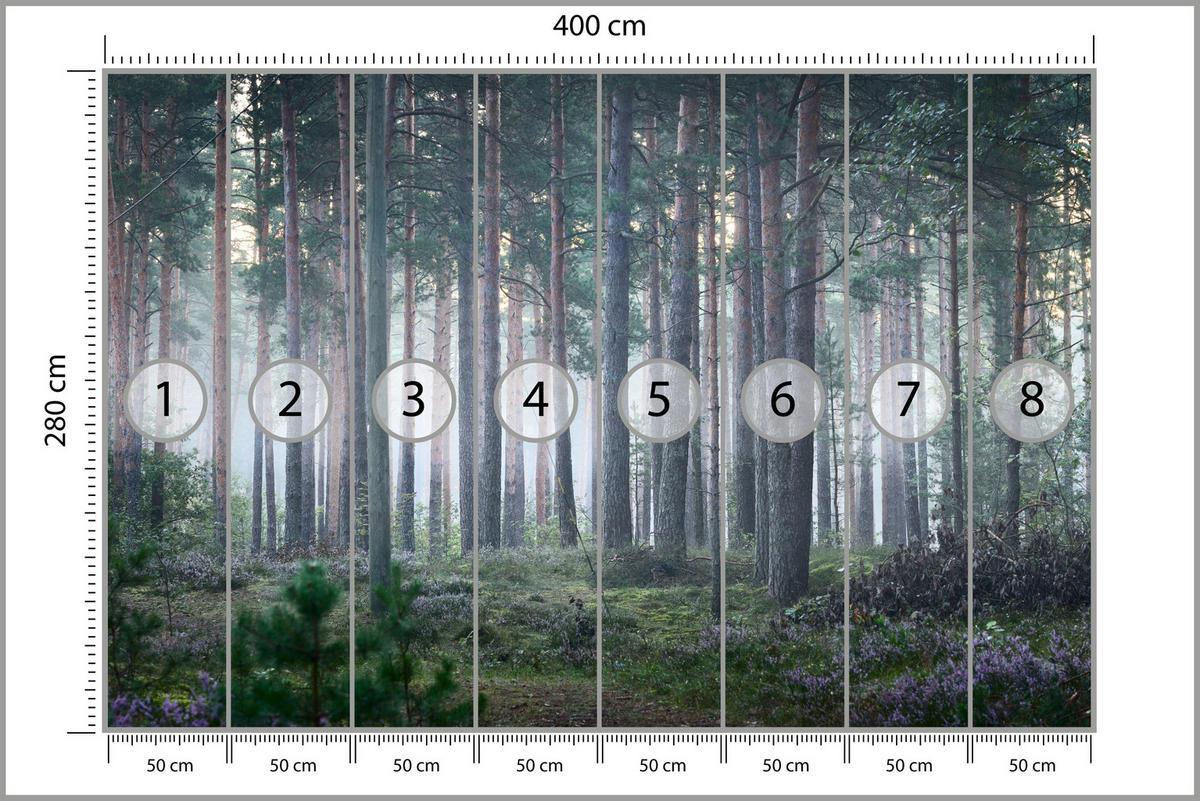 FOTOTAPETE für Wohnzimmer Nebelwald mit Bäumen Moos Grün 400x280 - Grau/Grün, Papier (400/280cm) - Muralo