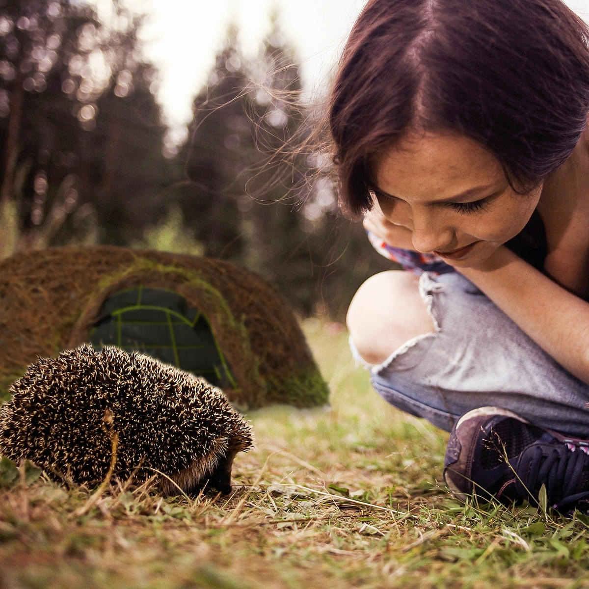 IGELHAUS - Dunkelbraun, Naturmaterialien/Textil (52/20/45cm) - Relaxdays