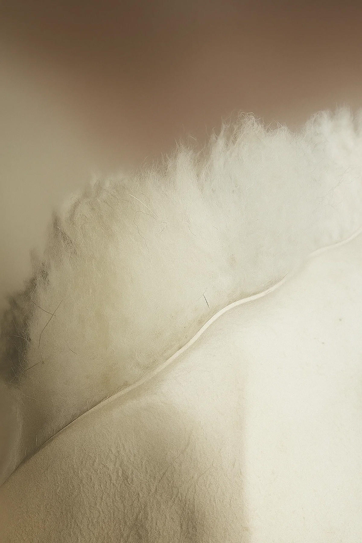 SCHAFFELL Geflammt Natur mit kleinen Mängeln ca. 110 cm - Schwarz, Fell (60/110cm) - Provellus