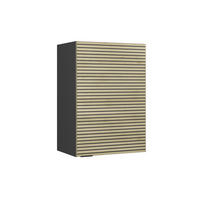 VĚŠÁK NA STĚNU Fame-Line Dubový panel - antracitová/barva dubu, kompozitní dřevo (50/72/34.1cm) - Vicco