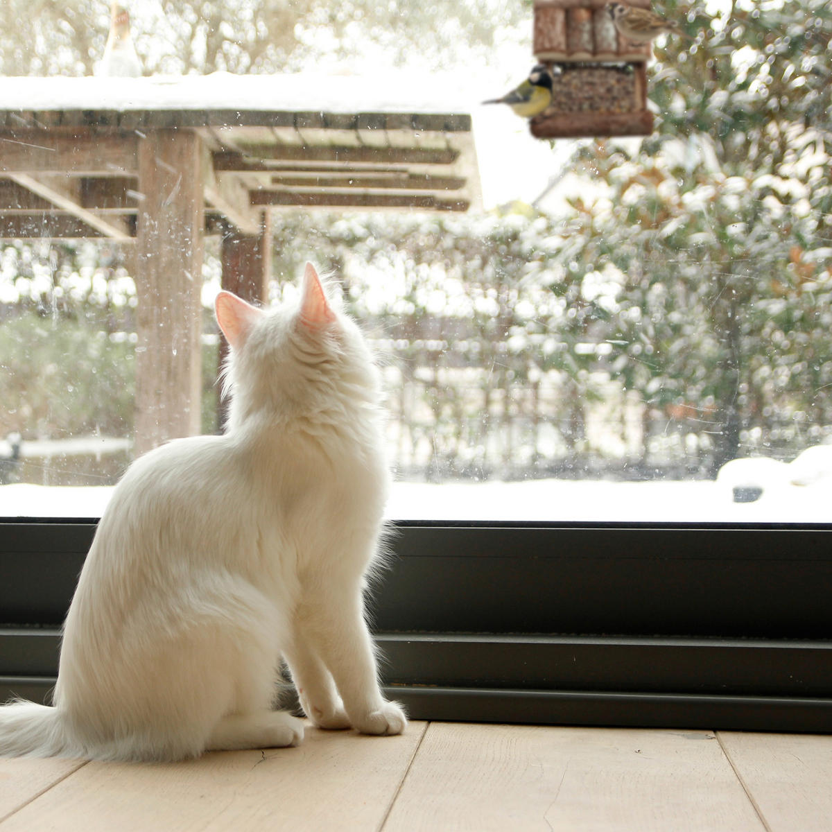 VOGELFUTTERHAUS - Braun, Holz/Metall (15/17/12cm) - Relaxdays