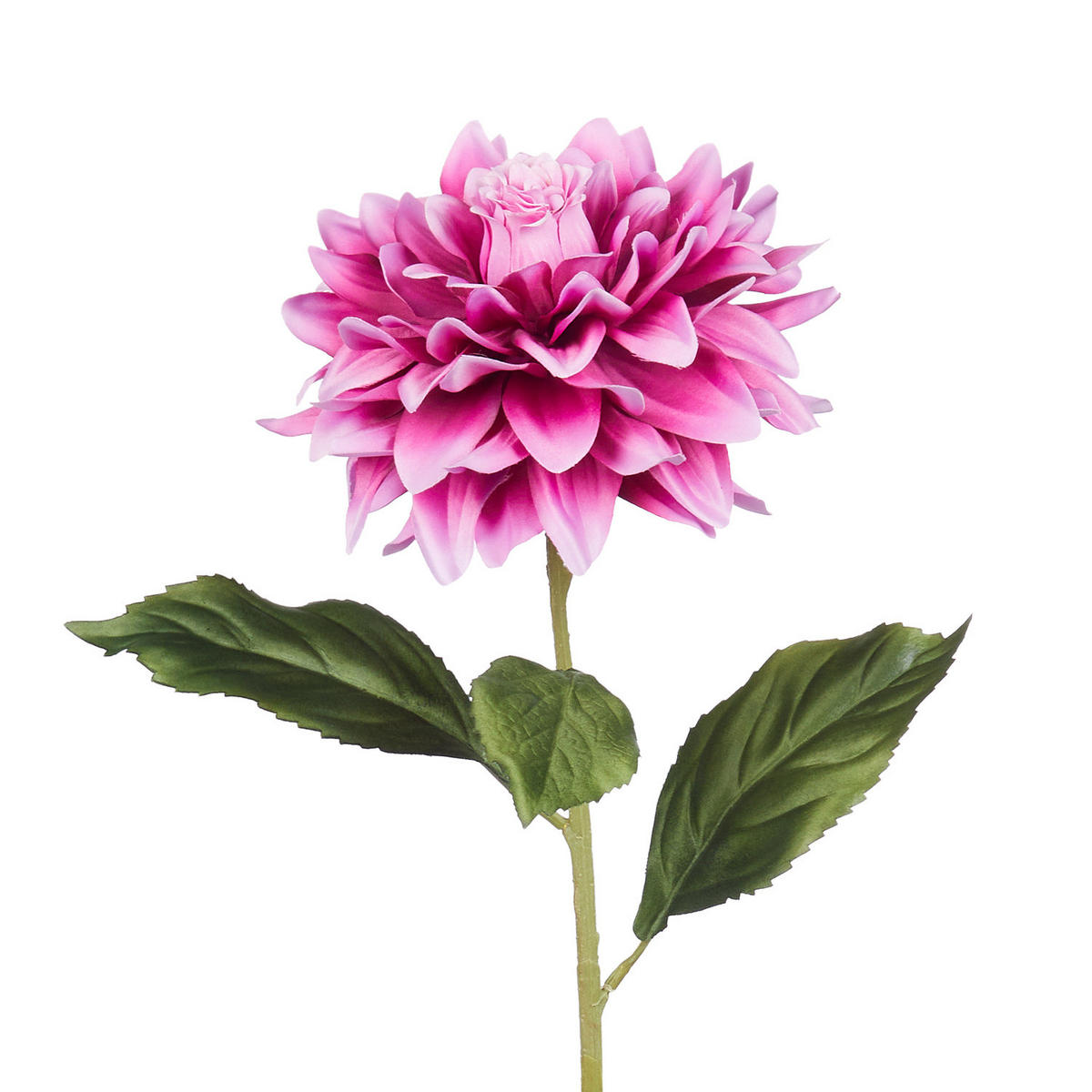 KUNSTBLUME Florista Dalie - Beere, Kunststoff (68cm) - Butlers