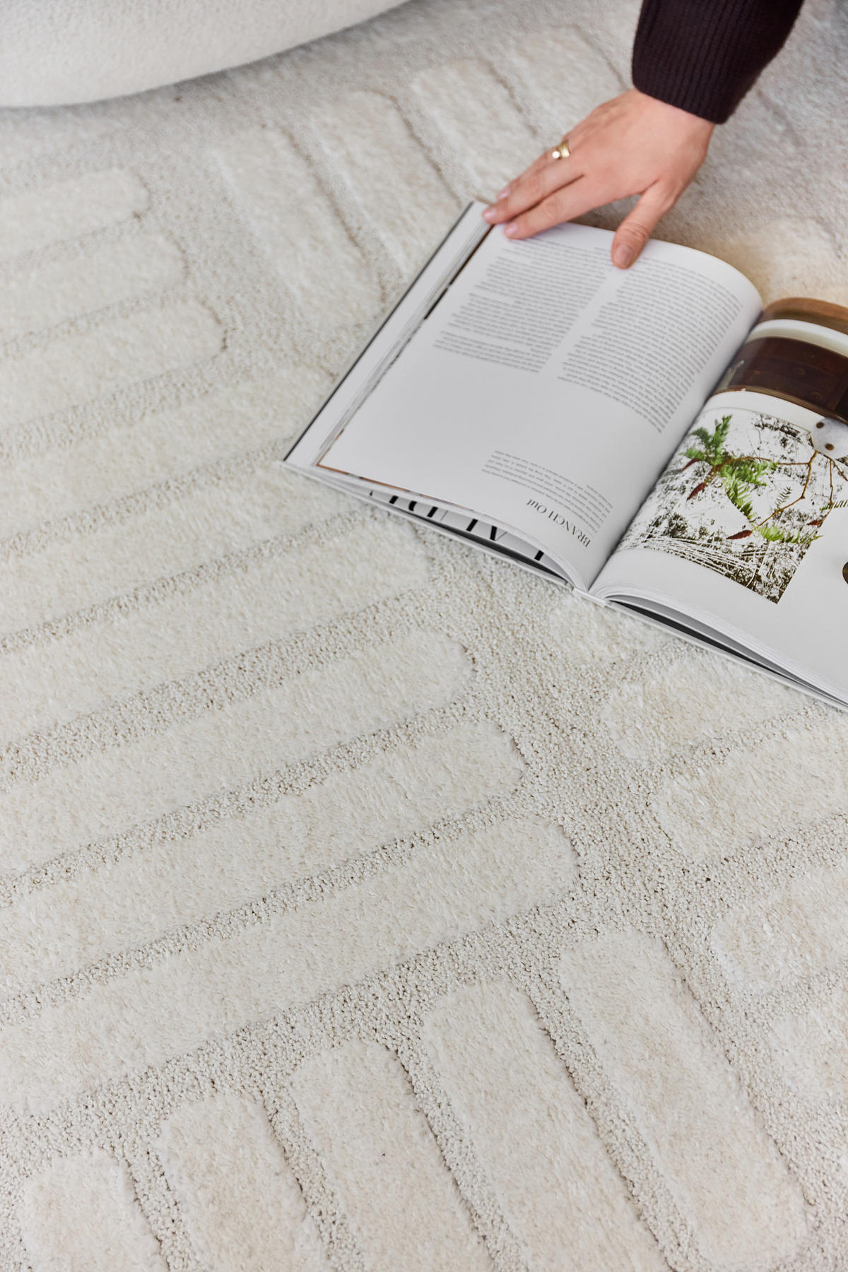 TEPPICH TERRA Creme 200/300 cm - Creme, Textil (200/300cm) - Tapiso