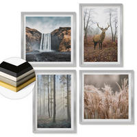 WANDBILDER 4er Set - 50x50 cm & 40x60 cm Silberner Rahmen - Waldlandschaften der Wildnis - Silberfarben, Kunststoff (50/50cm) - ArtPrintCave