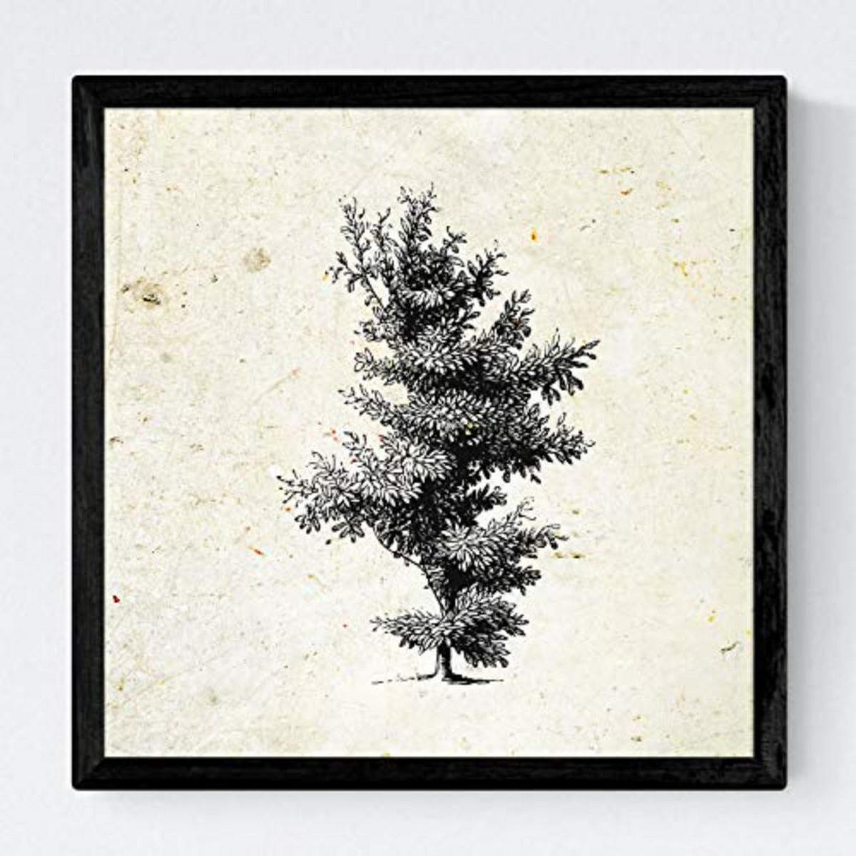 POSTER Set mit 4 Bädern Bäume variierten Jahrgang Hintergrund 30x30 cm Rahmenlos - Klar, Papier (30/3cm) - Nacnic