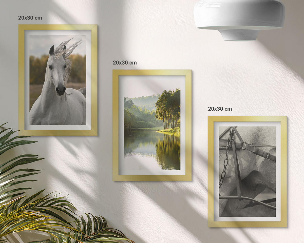 WANDBILDER 3er Set - 20x30 cm Goldrahmen - Natur des Flusses White Horses - Goldfarben, Kunststoff (20/30cm) - ArtPrintCave