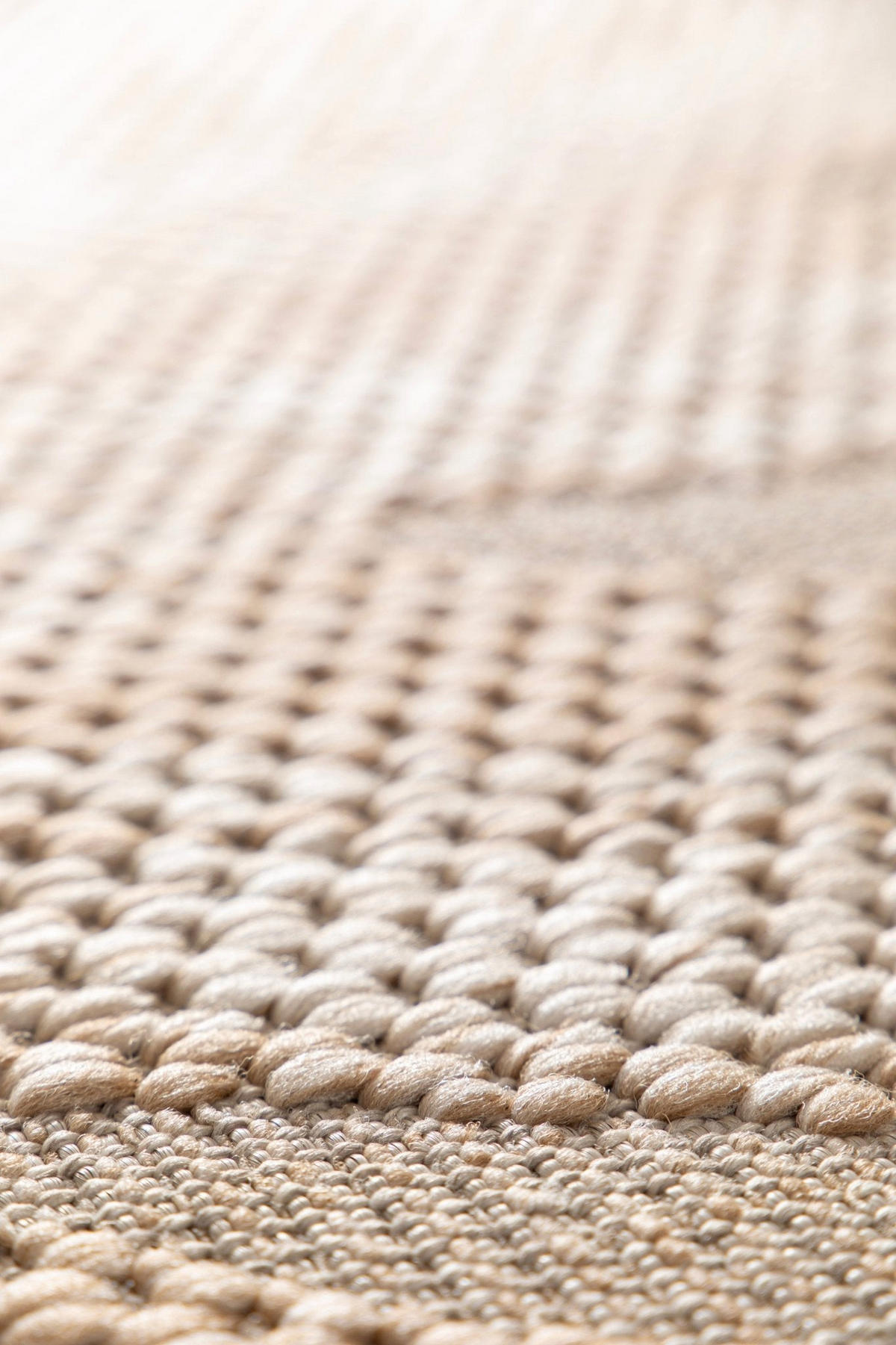 TEPPICH für Innen und Außen mit Skulptureffekt bruin - Braun, Textil (200/290cm) - AFK Living