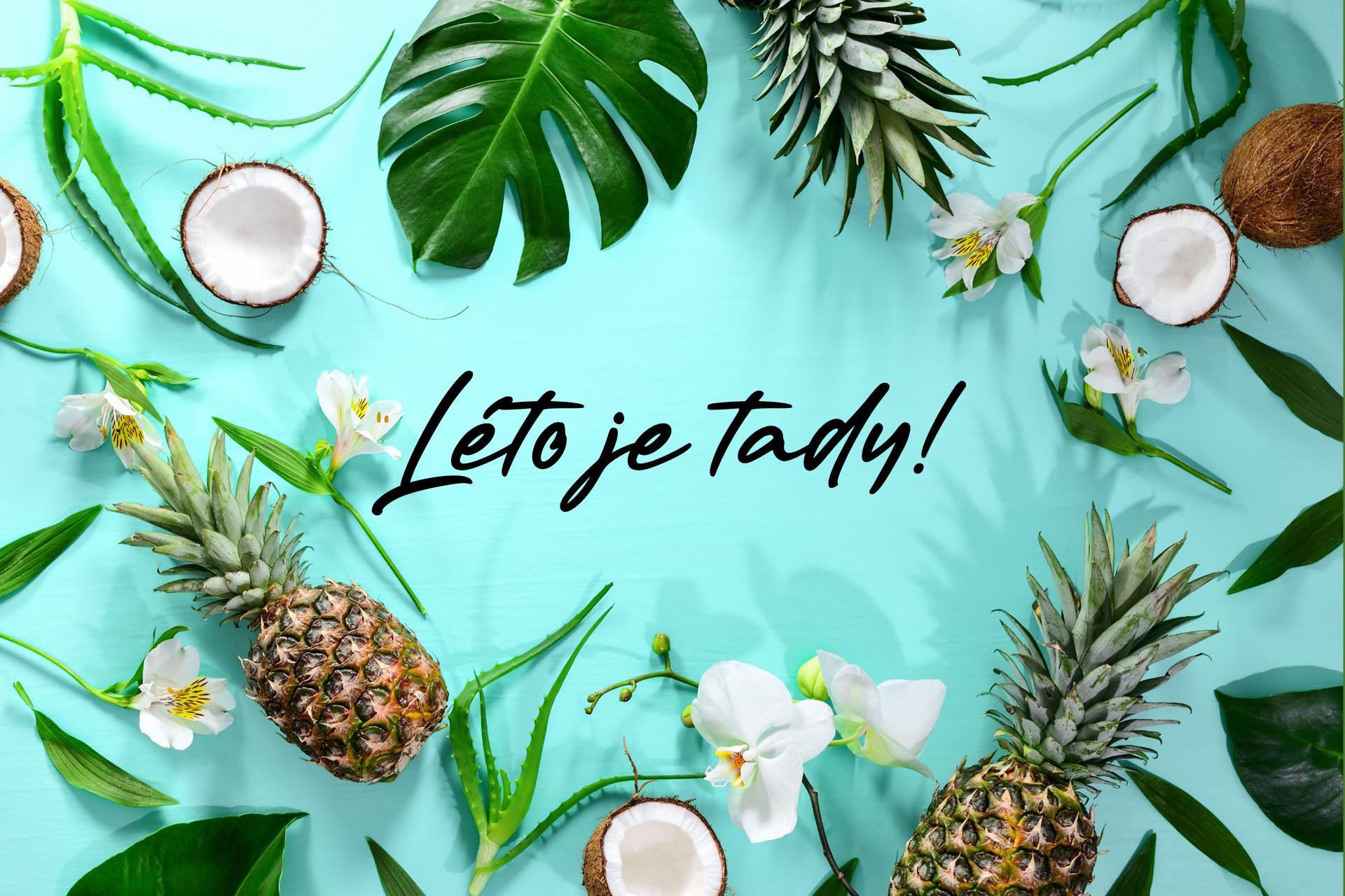 Léto je tady