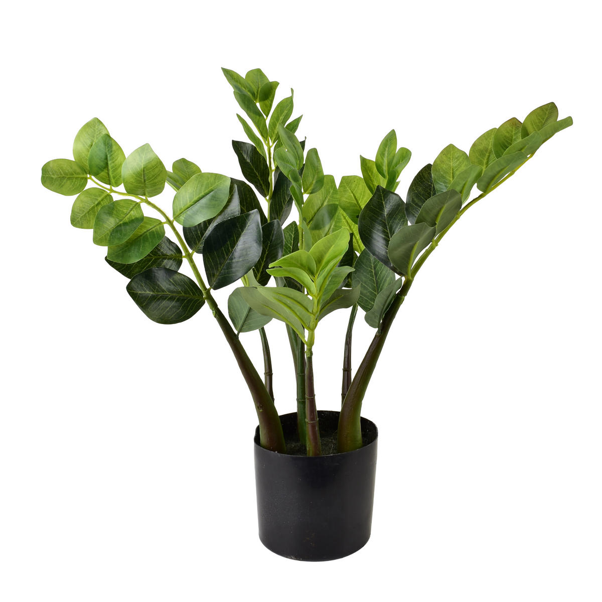 KUNSTBLUME Viridis grün 12.5/11.5/49 cm Kunststoff - Grün, Kunststoff (49cm) - Mondex