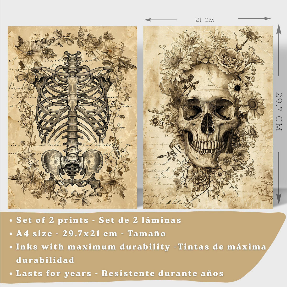 POSTER Set aus 2 Anatomie Mensch Drucke und Wandbilder mit Schädel Wirbelsäule Rippen Becken Klassisches Vintage Design Größe Weißer Rahmen A4 - Weiß, Papier (21/29.7/3cm) - Nacnic