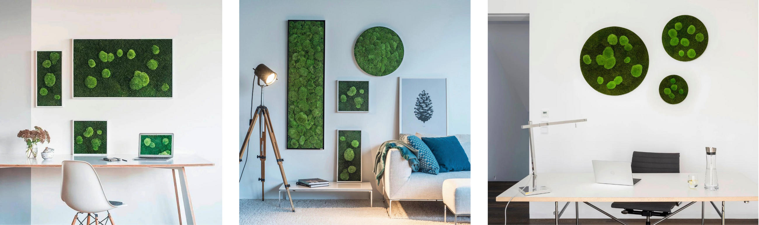 vertikálna zahráda: dekoratívne machové obrazy na stenách, moderná kancelária, moderná obývačka, zelená stena