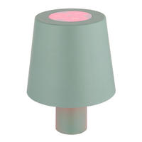 LED TISCHLEUCHTE Flaschenlampe Grün - Grün, Kunststoff (10.5/10.5/14cm) - Globo Lighting