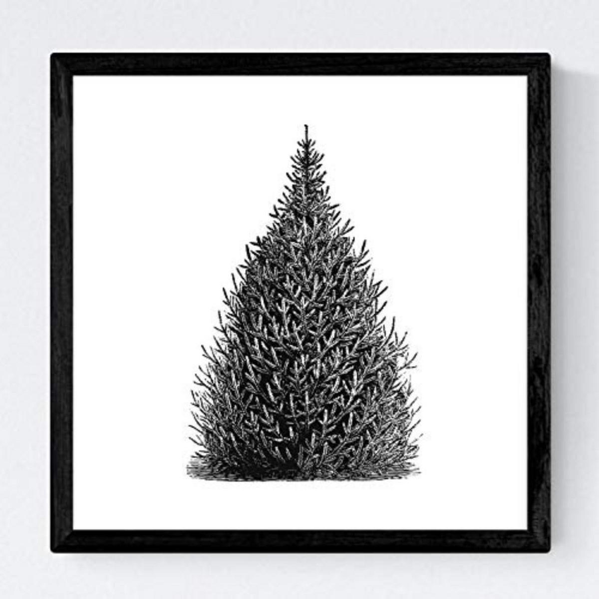 POSTER Set mit 4 Bädern Bäume und Sträucher weißer Hintergrund 20x20cm Rahmenlos - Klar, Papier (20/3cm) - Nacnic