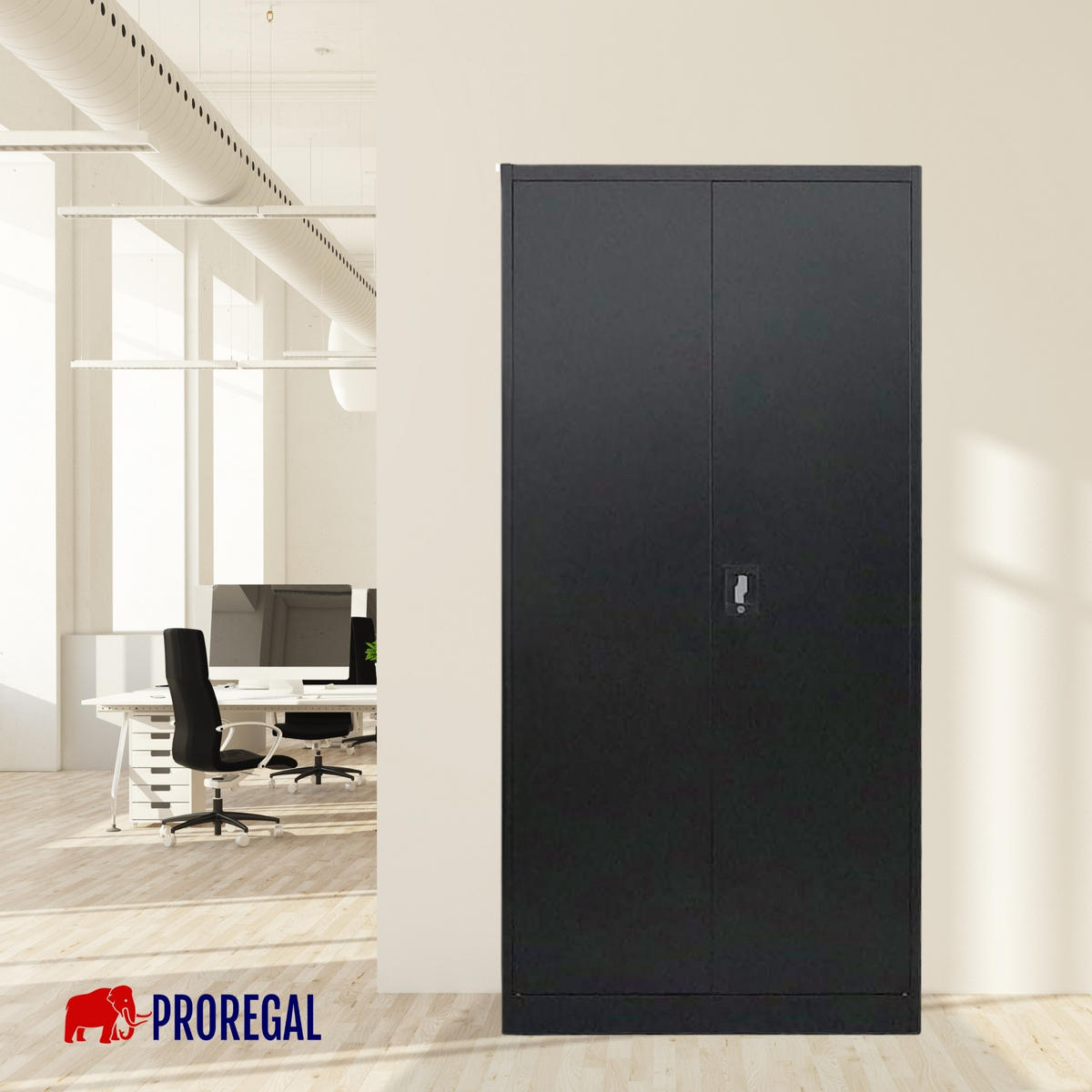 FLÜGELTÜRENSCHRANK Elephant komplett montiert 180x80x40cm 4 Ebenen Schwarz - Schwarz, Metall (80/180/40cm) - PROREGAL