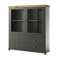 VITRINE EVANDRO 126/138/42 cm mit 2 Schubladen und 2 Türen Grün - Grün, Holzwerkstoff (126/138/42cm) - MASSENO