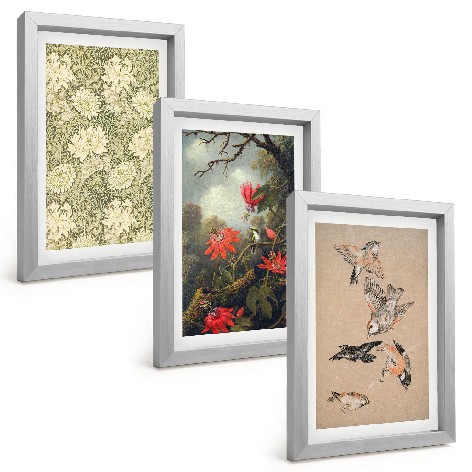 BILDER SET 3er Set - 20x30 cm Silberner Rahmen - Blumen, Vögel, Natur - Silberfarben, Kunststoff (20/30cm) - TULUP