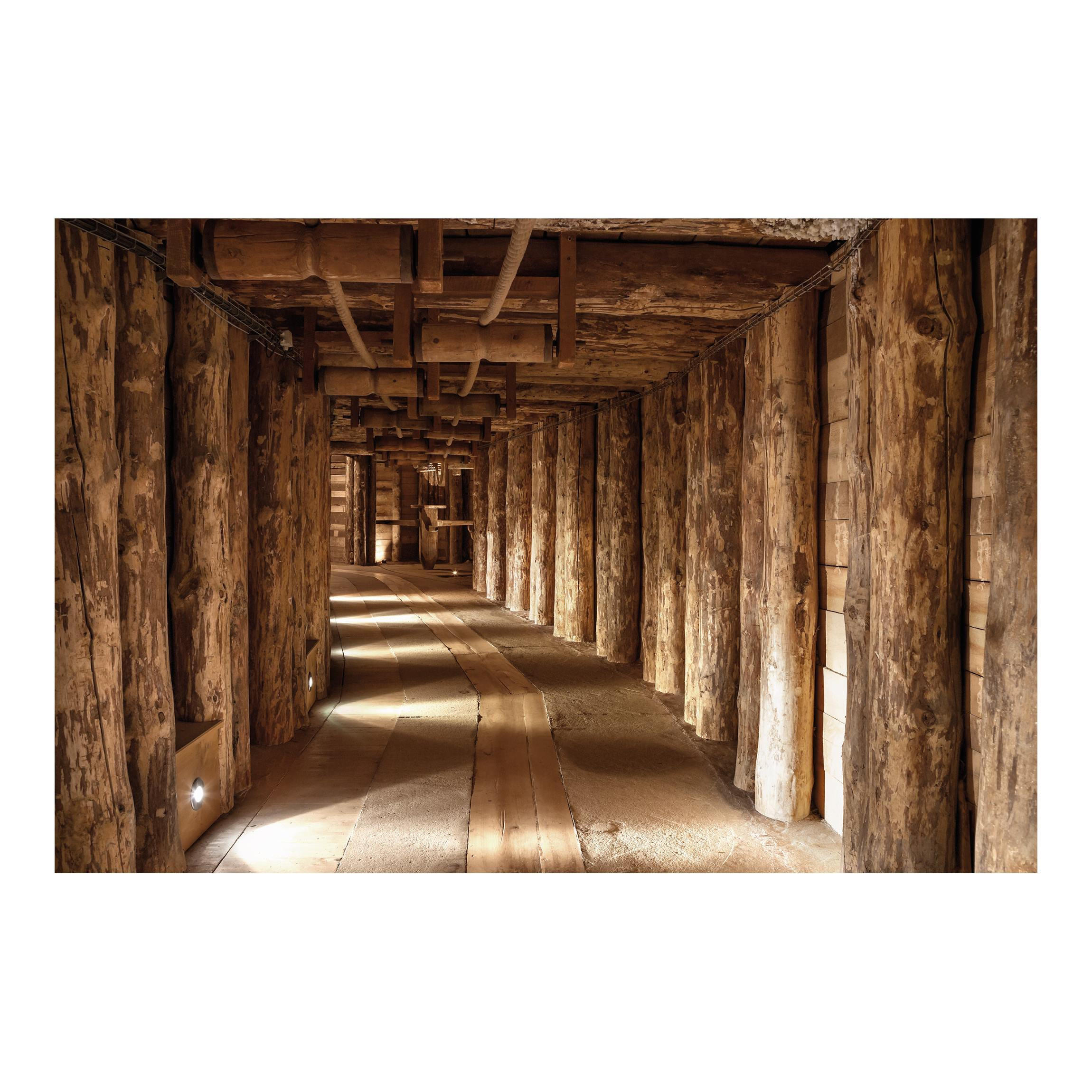 FOTOTAPETE Alte Goldmine 384/255 cm - Braun, Papier (384/255cm) - Bilderwelten