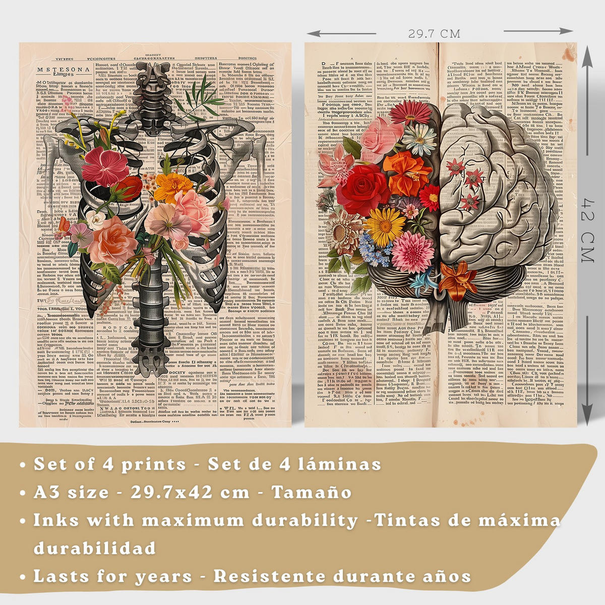 POSTER Set aus 4 Vintage Anatomie Drucke und Wandbilder mit Herz Schädel Skelett und Gehirn Collage Stil Wanddekoration Größe Rahmenlos A3 - Klar, Papier (29.7/42/3cm) - Nacnic