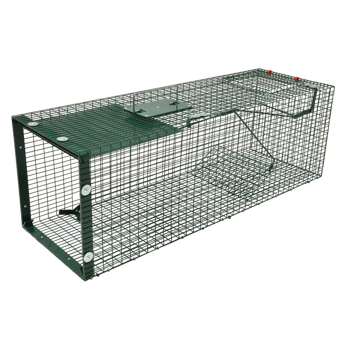 MOORLAND Safe 5002 Lebendfalle 30x30x90 cm – 1 Eingang, 1,8 mm Drahtgitter (RAL 6005) - Grün, Holz (30/30/90cm) - Moorland