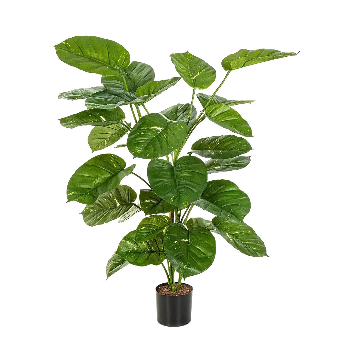 KUNSTPFLANZE Künstliche Pothos - Wotan 115 cm - Grün, Kunststoff (115cm) - aplanta