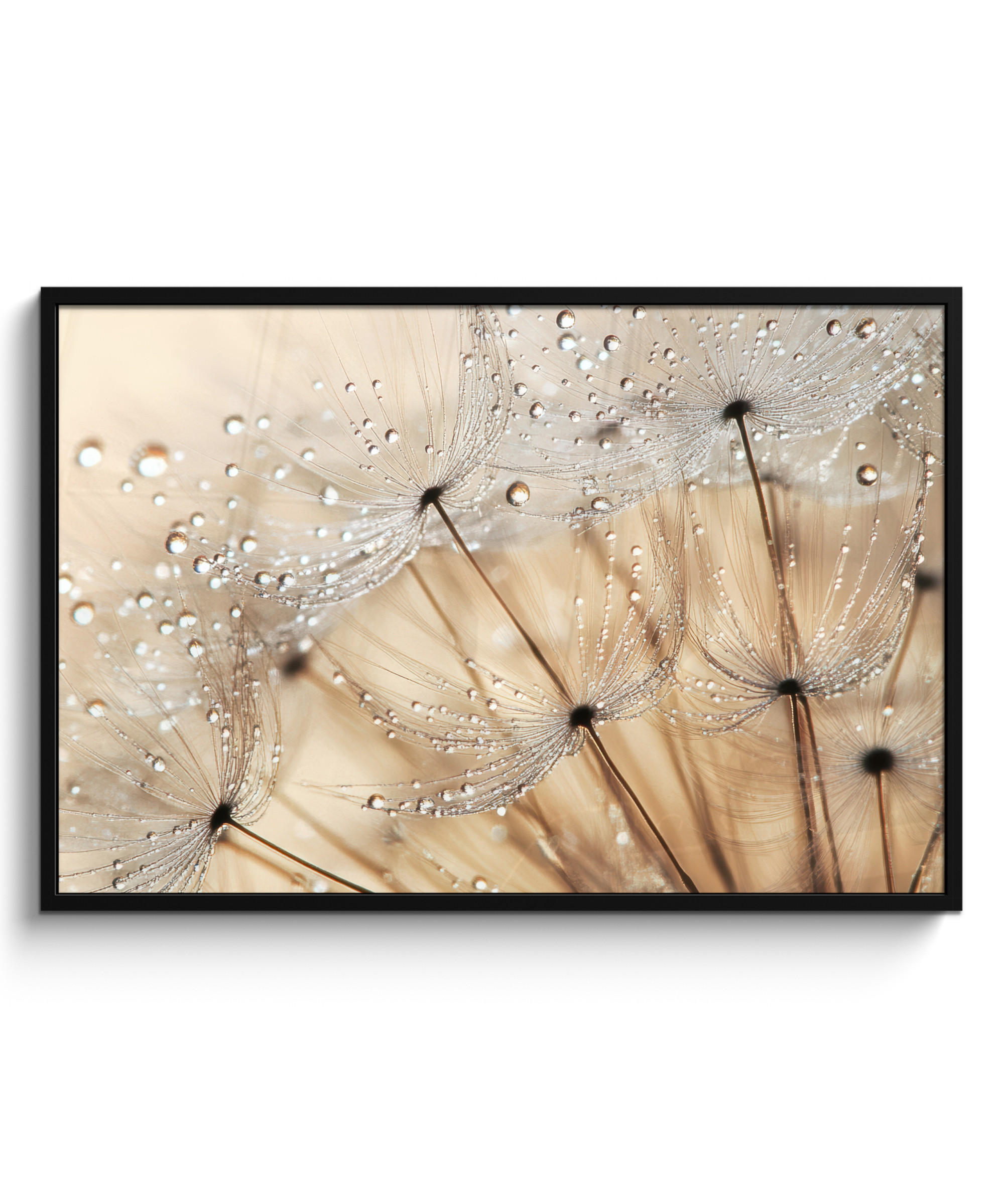 POSTER MIT RAHMEN Löwenzahn - Abstrakt - Natur - Beige 120x80 cm - Braun, Papier (120/80cm) - MuchoWow