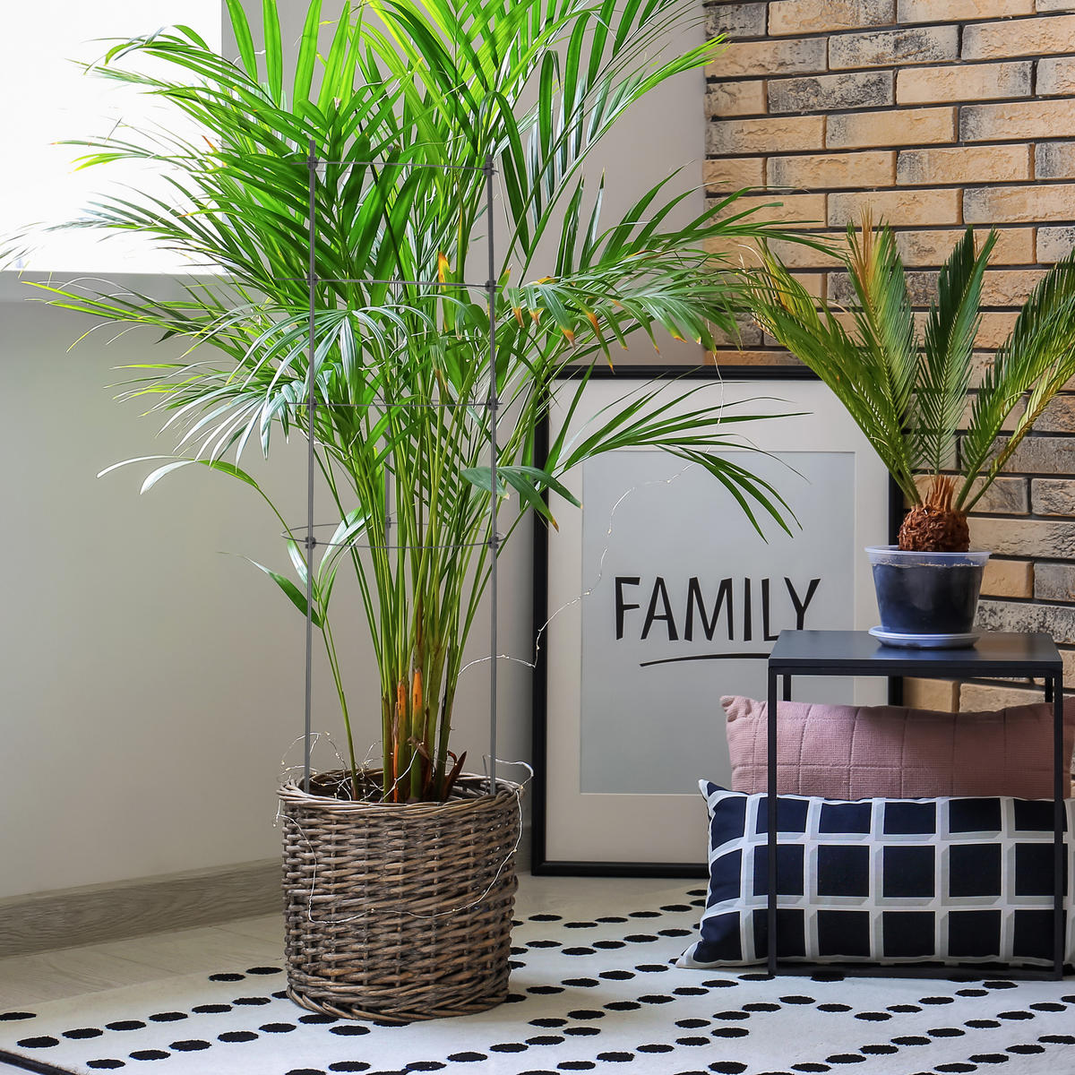 2XRANKHILFE - Schwarz, Kunststoff/Metall (30/90/30cm) - Relaxdays