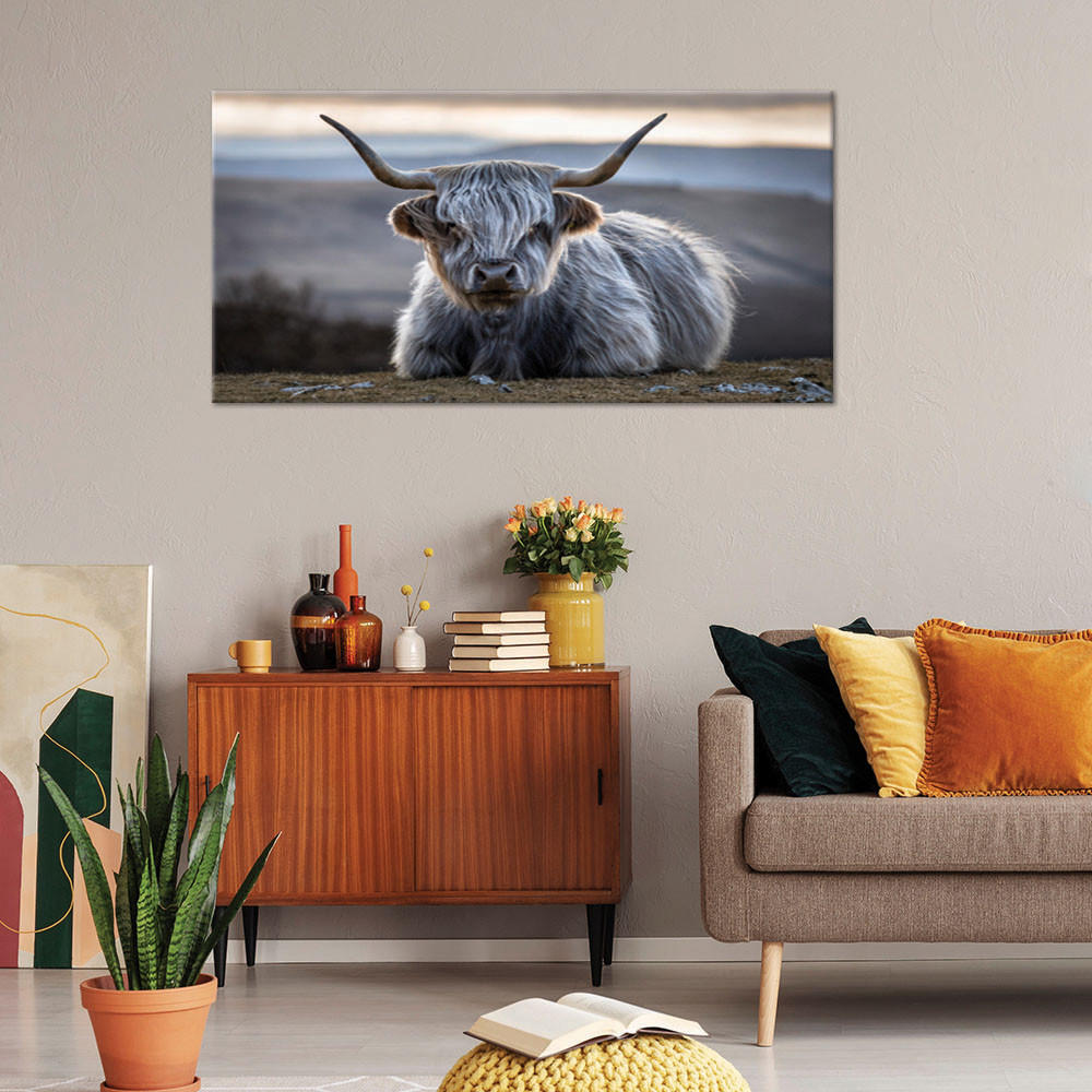 LEINWANDBILD Liegende schottische Kuh 100x50cm - Grau, Textil (100/50cm) - Feeby