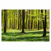 FOTOTAPETE Waldwiese 432/290 cm - Grün, Papier (432/290cm) - Bilderwelten