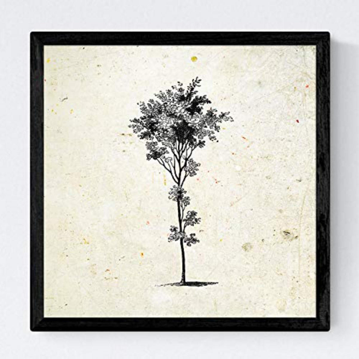 POSTER Set mit 4 Blättern der Baumstämme Jahrgang Hintergrund 30x30 cm Rahmenlos - Klar, Papier (30/3cm) - Nacnic