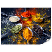 FOTOTAPETE für Küche Gewürzlöffel Orientalisch Curry Kurkuma Pfeffer 350x256 - Beige/Rot, Papier (350/256cm) - Muralo