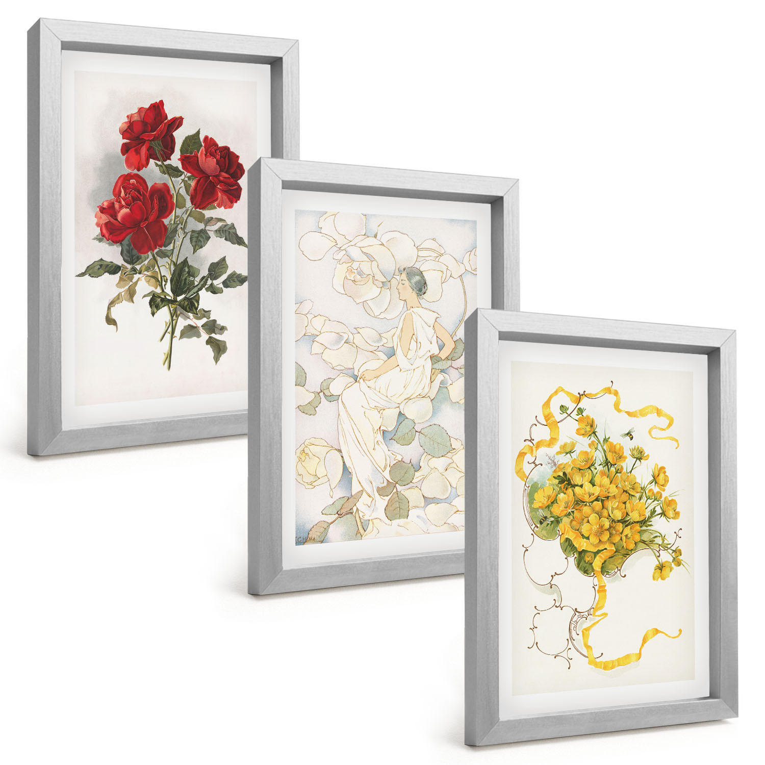 BILDER SET 3er Set - 20x30 cm Silberner Rahmen - Rosen rot-weiße Form - Silberfarben, Kunststoff (20/30cm) - TULUP